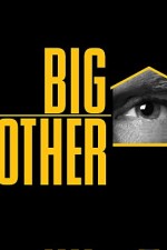 Watch Big Brother Megashare